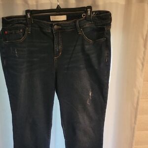 Slink Mid Rise SKINNY Leg For The Curvy Girls